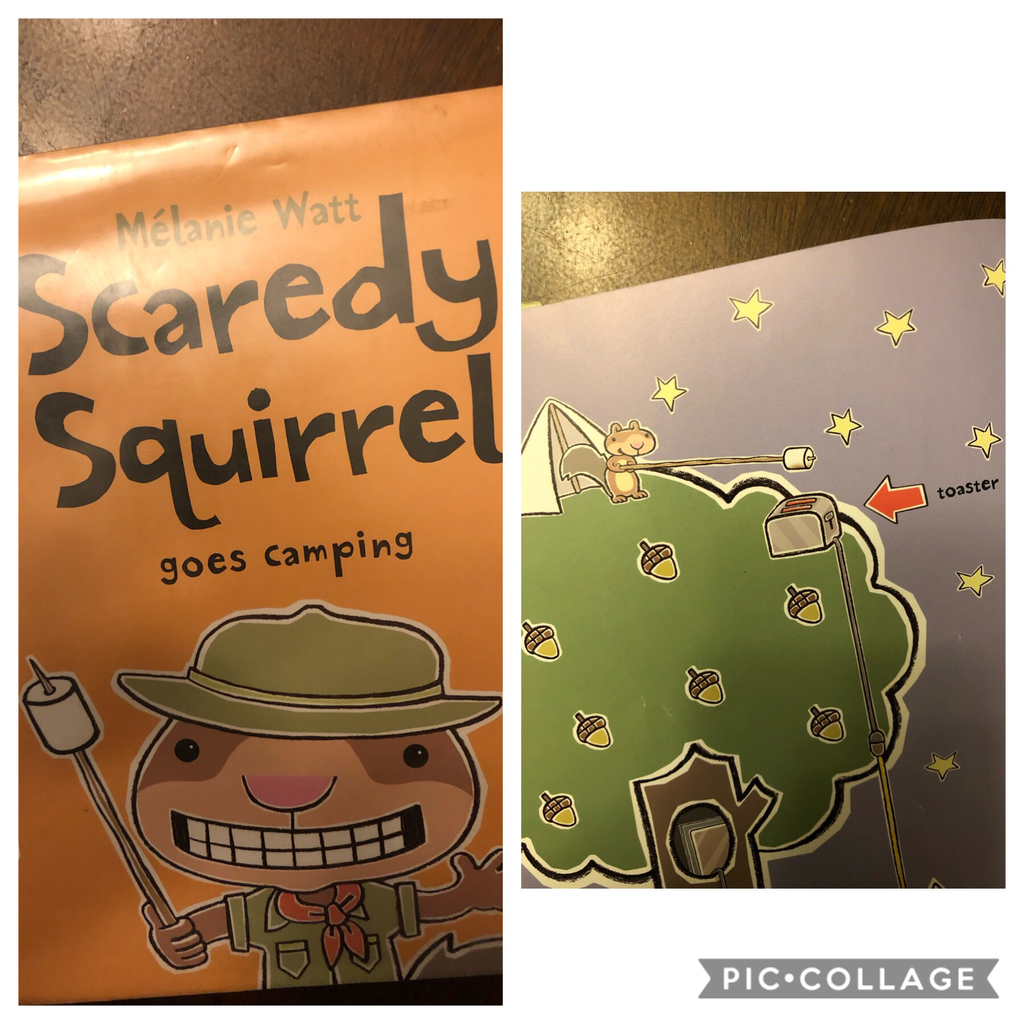 After reading Scaredy Squirrel goes camping, we had to try roasting s’mores over a toaster too!